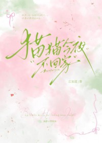 猫猫今夜不回家