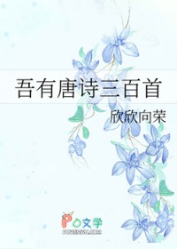 吾有唐诗三百首