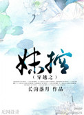 穿越之妹控